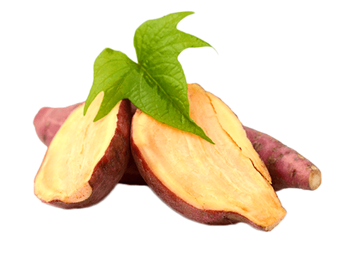 Ρίζα Yacon στο Reduslim