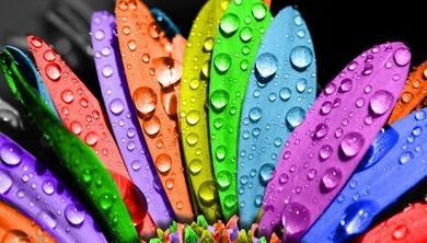 Πώς να χάσετε βάρος στη δίαιτα 6 πετάλων